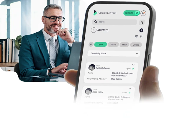 Case management application user interface
